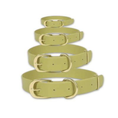 Collier en Biothane pastel pour chien Collier en Biothane pastel pour chien