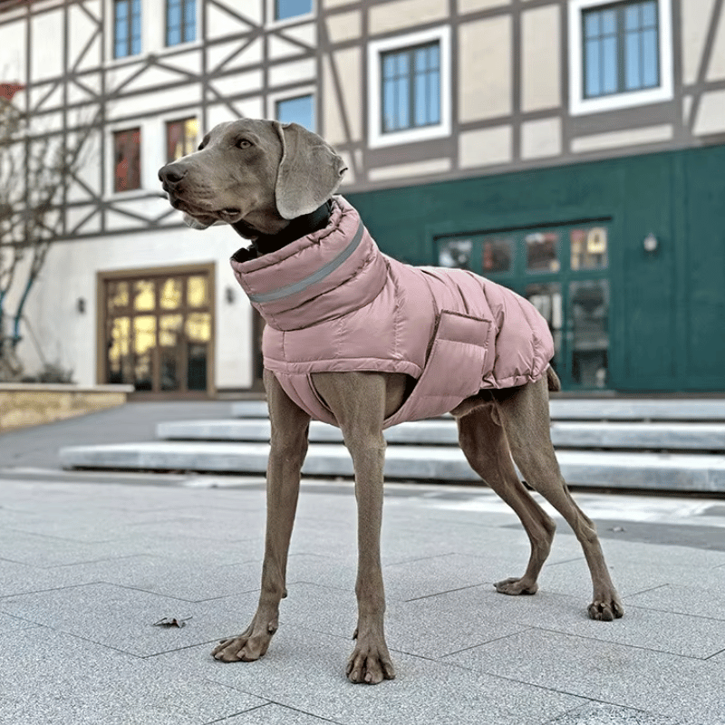 Manteau chaud et imperméable pour grand chien