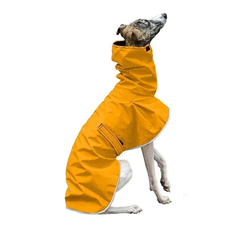 Manteau imperméable et léger pour Whippet