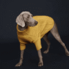pull tricot torsade chien moutarde pull tricot torsade chien moutarde