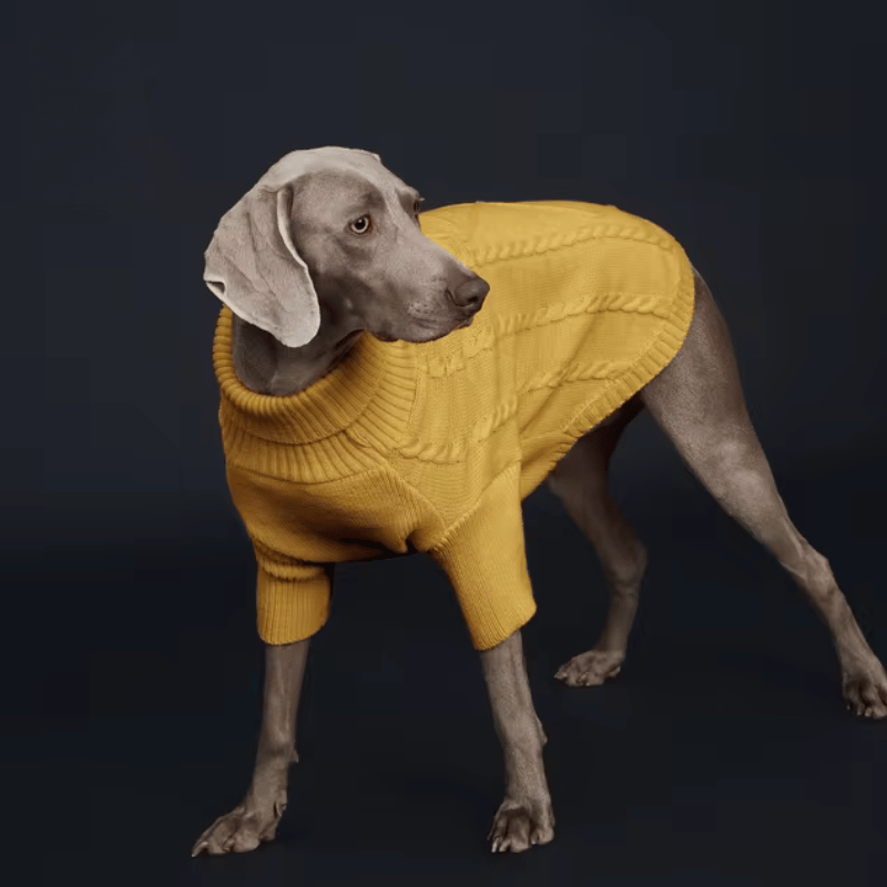 Pull en tricot torsadé pour chien