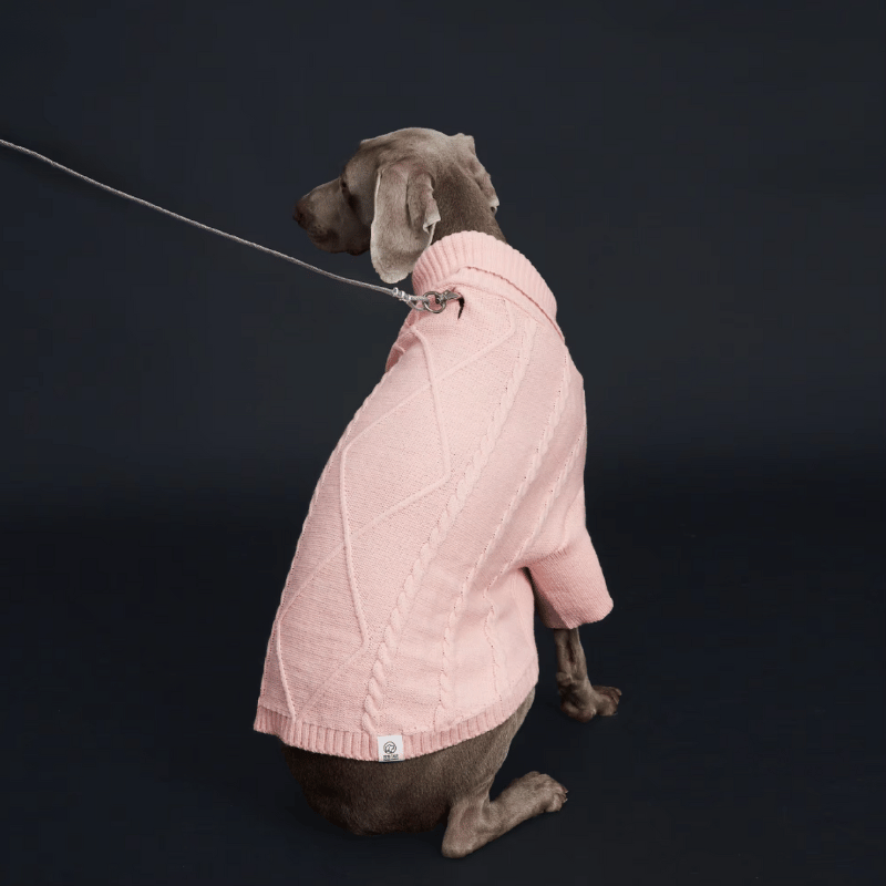 Pull en tricot torsadé pour chien