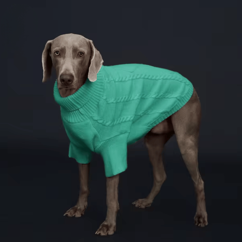 Pull en tricot torsadé pour chien