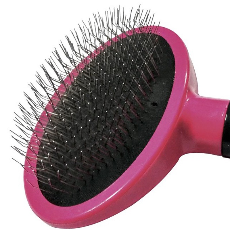 Brosse carde à picots souple pour petit chien