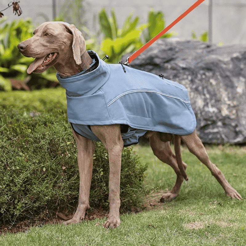 Imperméable léger pour chien