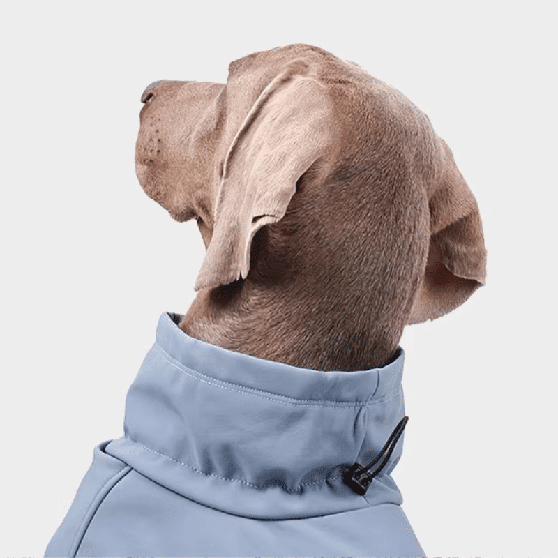 Imperméable léger pour chien