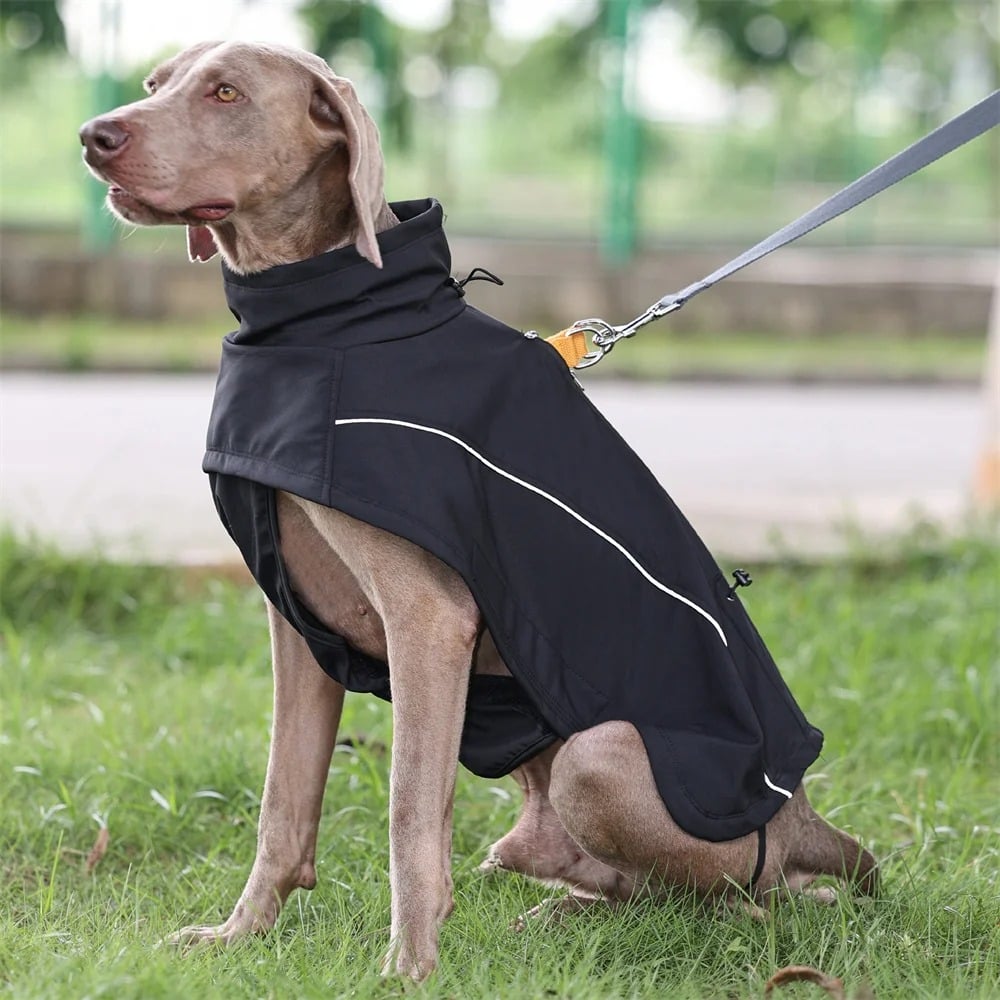 Imperméable léger pour chien