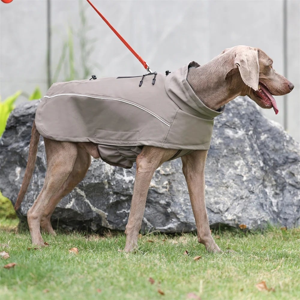 Imperméable léger pour chien