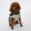 manteau chaud impermeable petit chien vert 2 manteau chaud impermeable petit chien vert 2
