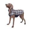 manteau reversible carreaux grand chien bleu manteau reversible carreaux grand chien bleu