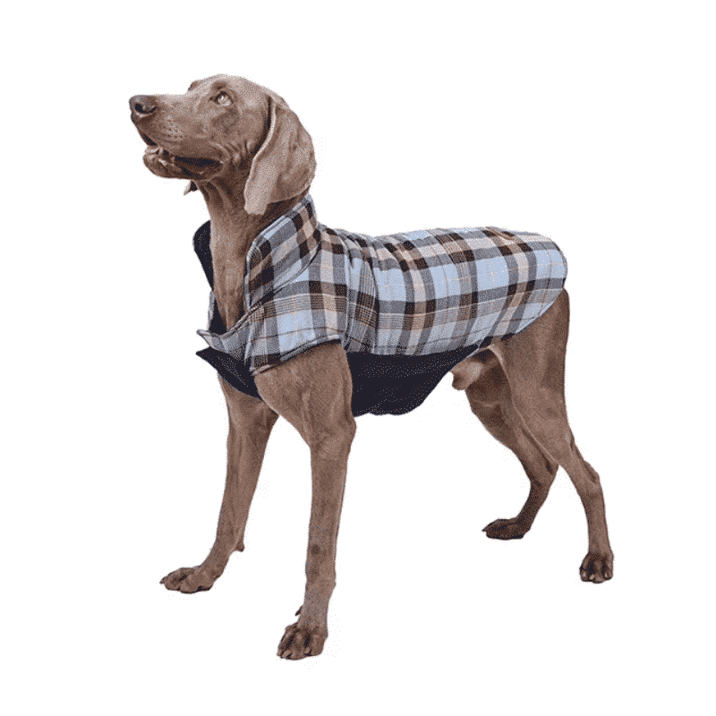 Manteau à carreaux réversible pour grand chien