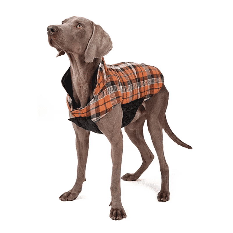 Manteau à carreaux réversible pour grand chien