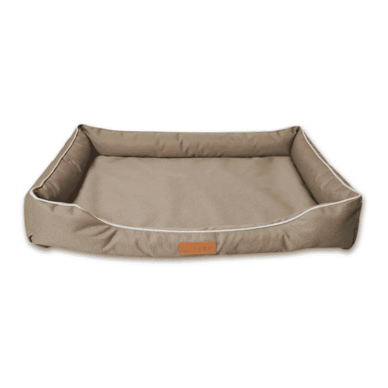 panier indestructible memoire forme chien taupe