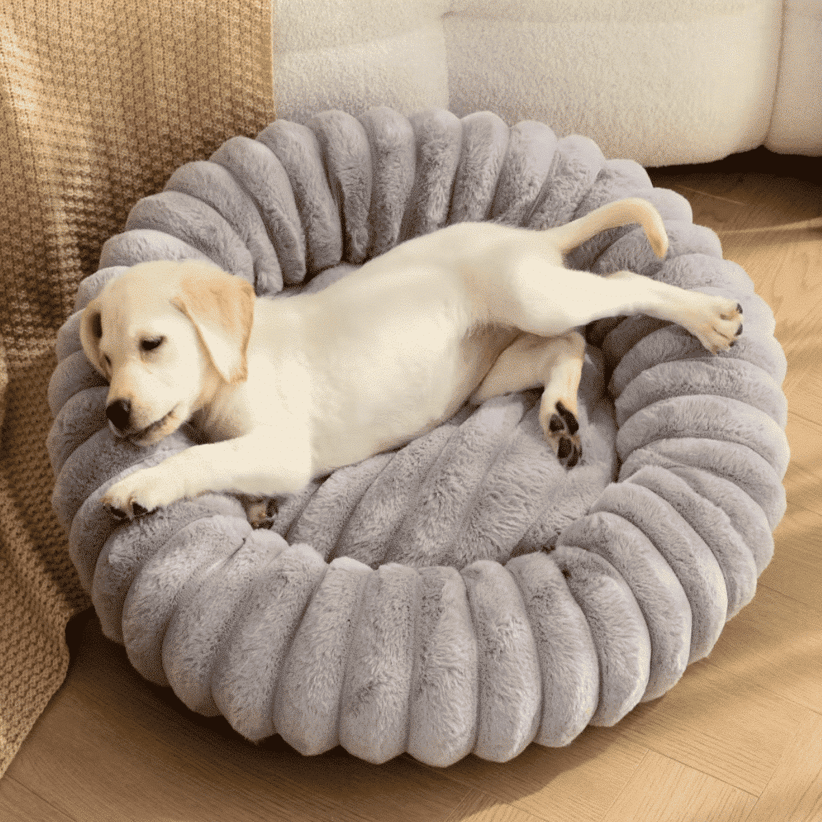 Coussin rond anti stress pour chien