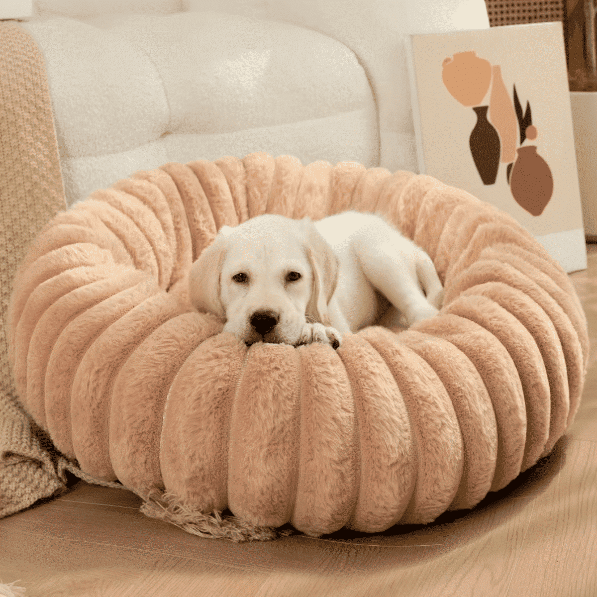 Coussin rond anti stress pour chien