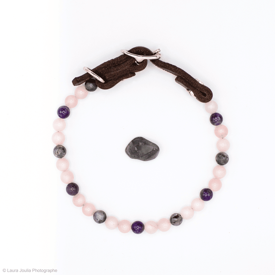 collier chien apaisement labradorite