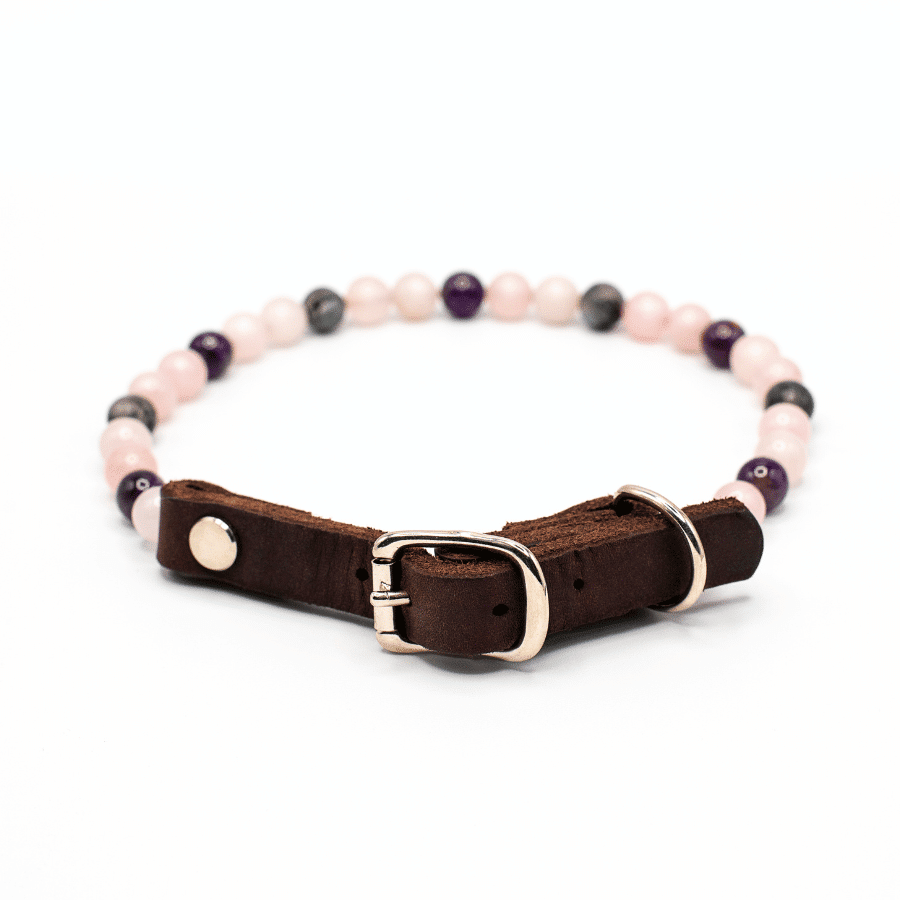Collier Apaisement pour chien – Anti-stress & sérénité naturelle