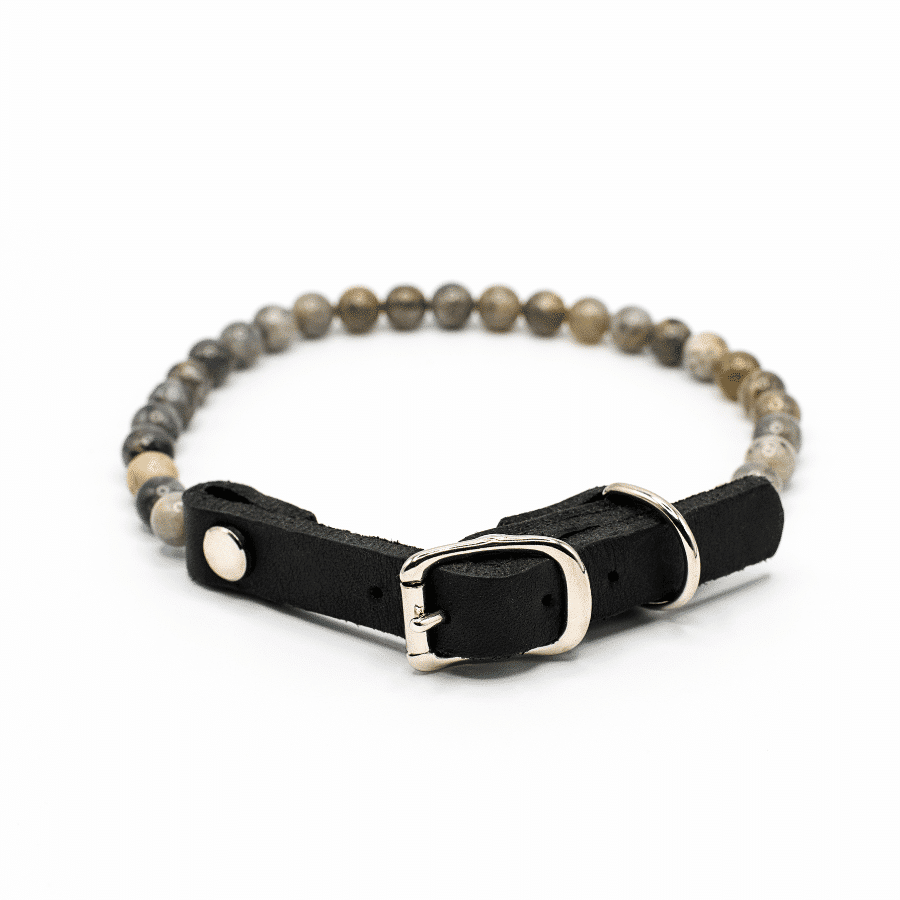 collier energetique chien bouclier