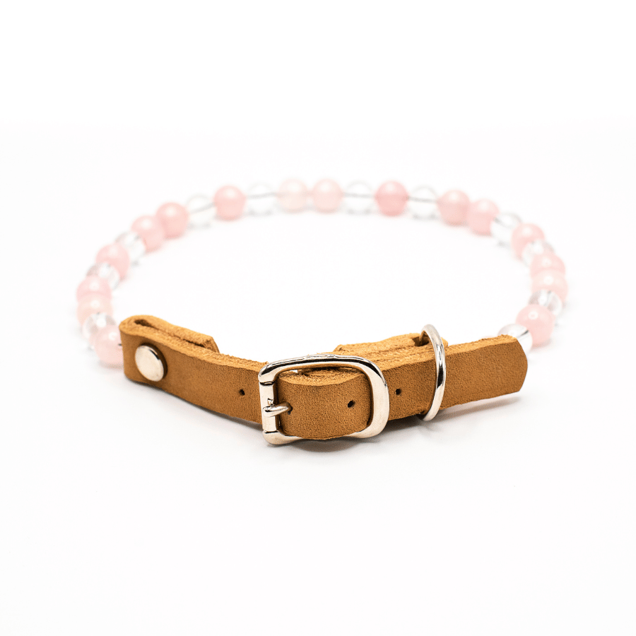 Collier Cocon pour chien – Anxiété de séparation douce & réconfort