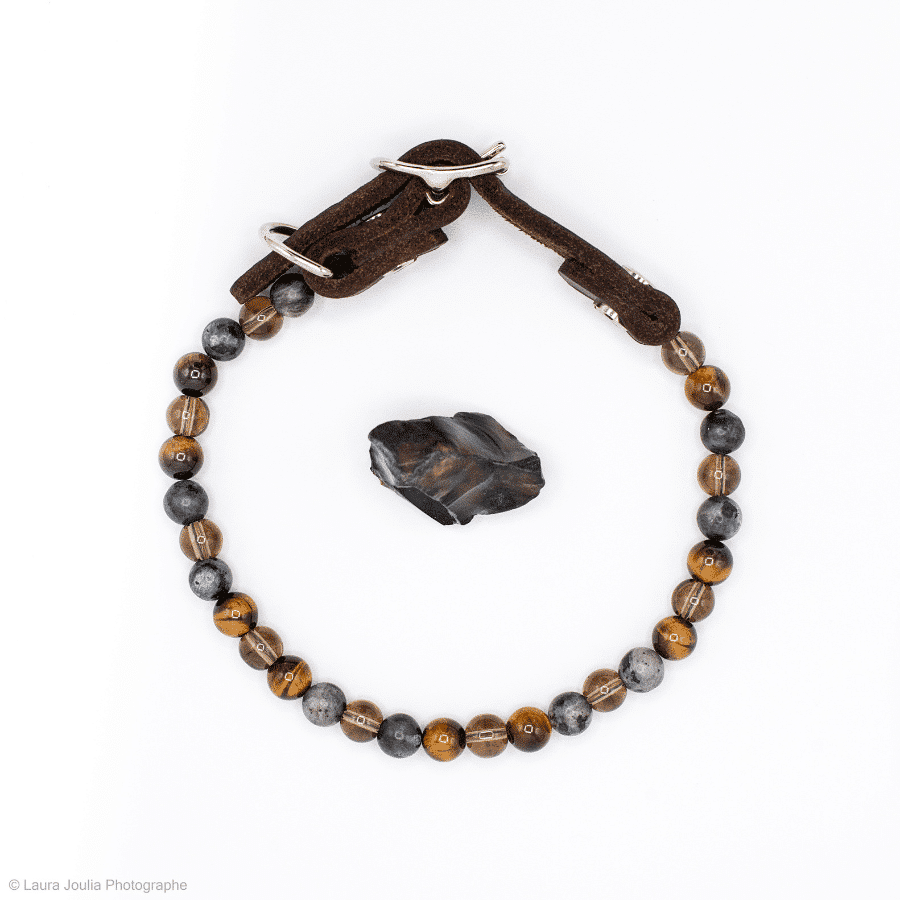 collier energetique chien confiance