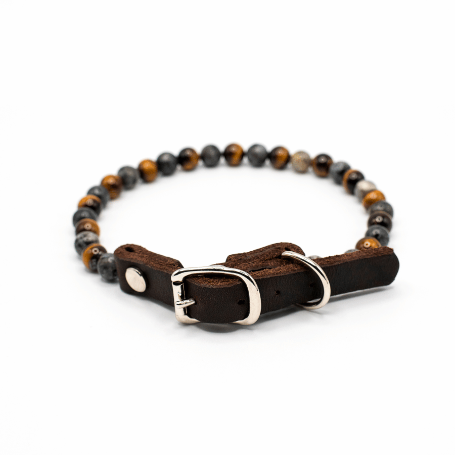 Collier Courage pour chien – Confiance & protection émotionnelle