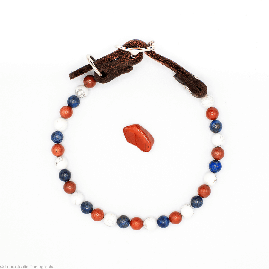collier energetique chien equilibre