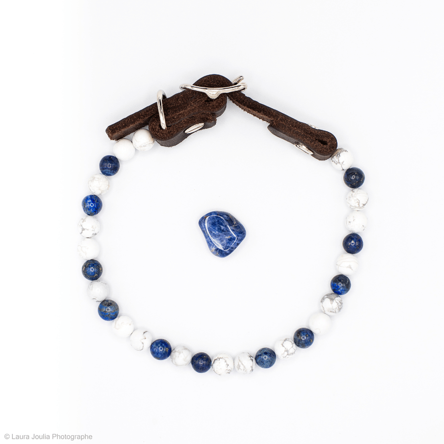 collier energetique chien focus