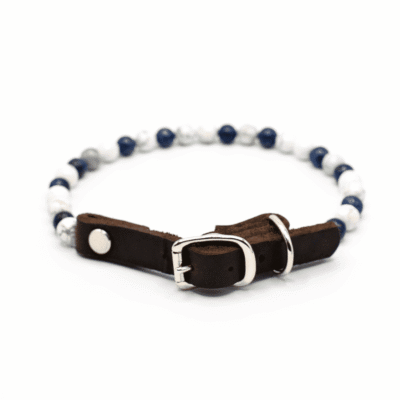 Collier FOCUS – Pour chien dissipé ou nerveux Collier FOCUS – Pour chien dissipé ou nerveux