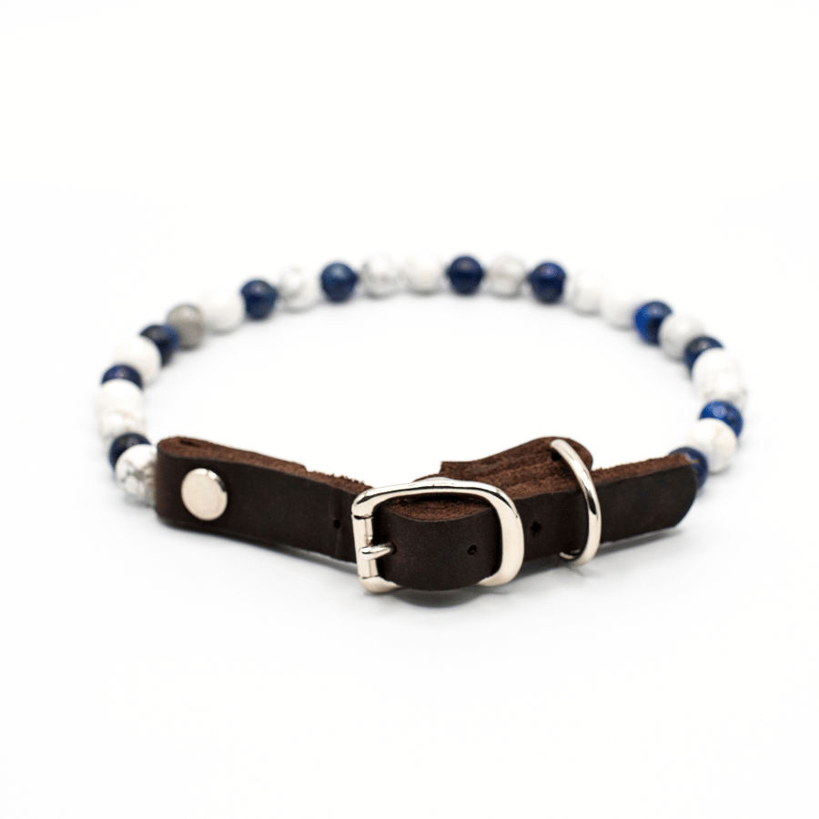 Collier Focus pour chien – Concentration & apaisement mental
