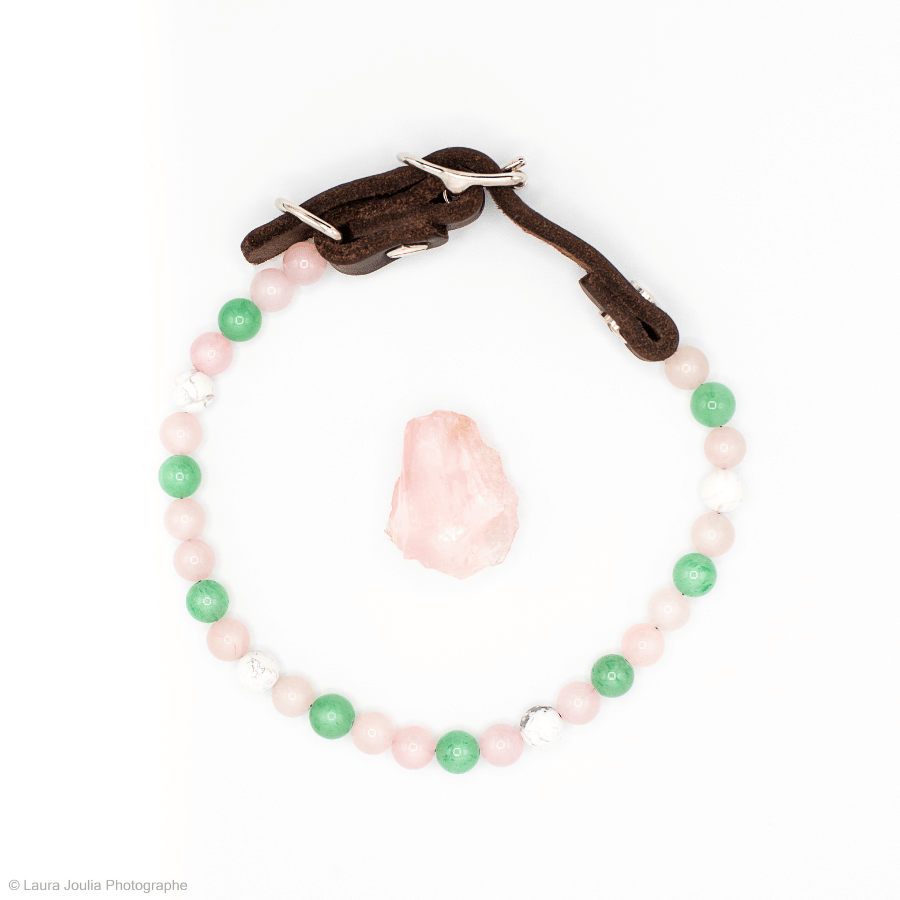 collier energetique chien lien