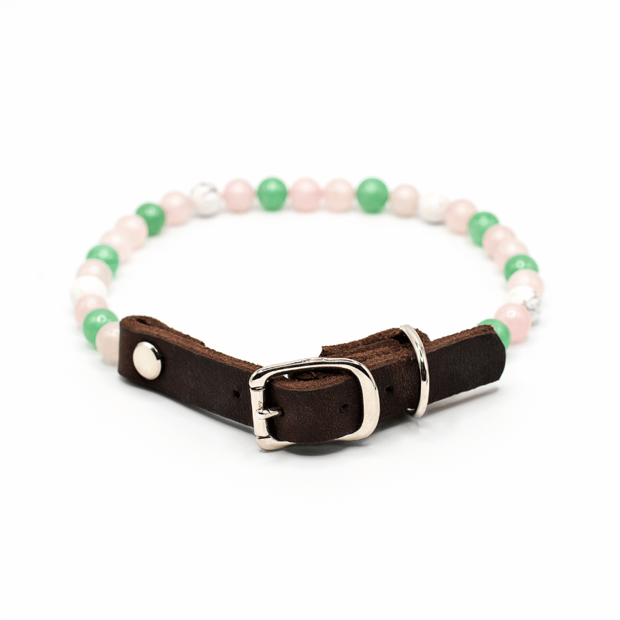 Collier Lien pour chien – Anxiété de séparation & réconfort affectif