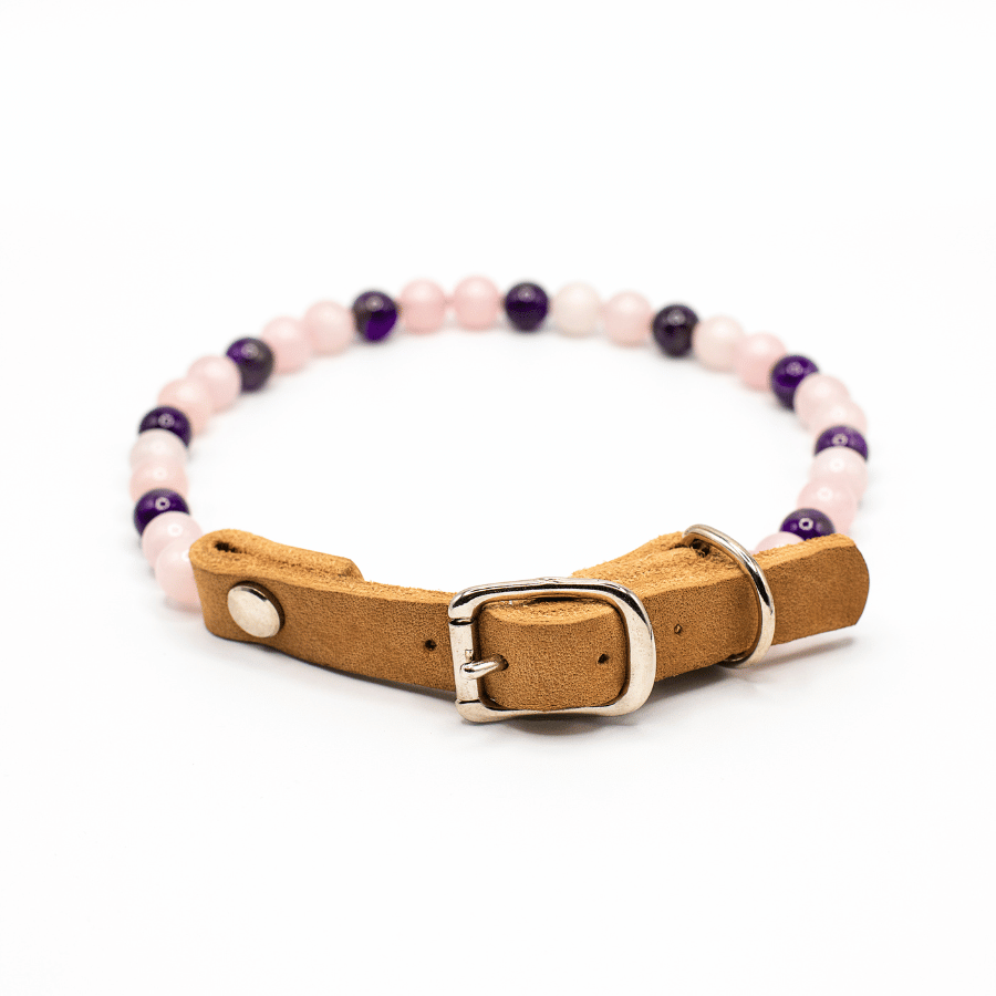 Collier Tendresse pour chien – Anti-stress & douceur pour chiots