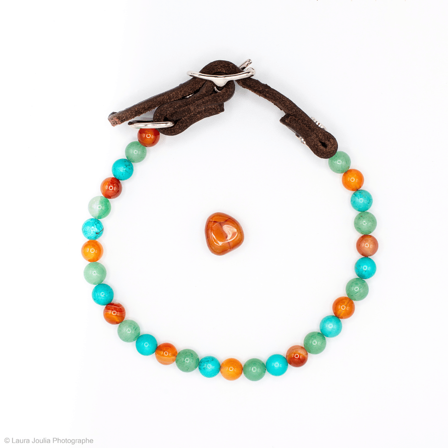 collier energetique chien vitalite