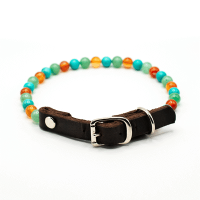 Collier VITALITÉ – Pour chien âgé ou souffrant d’arthrose Collier VITALITÉ – Pour chien âgé ou souffrant d’arthrose