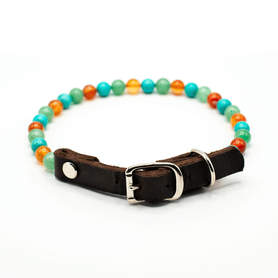 Collier Vitalité pour chien – Arthrose & confort des chiens âgés