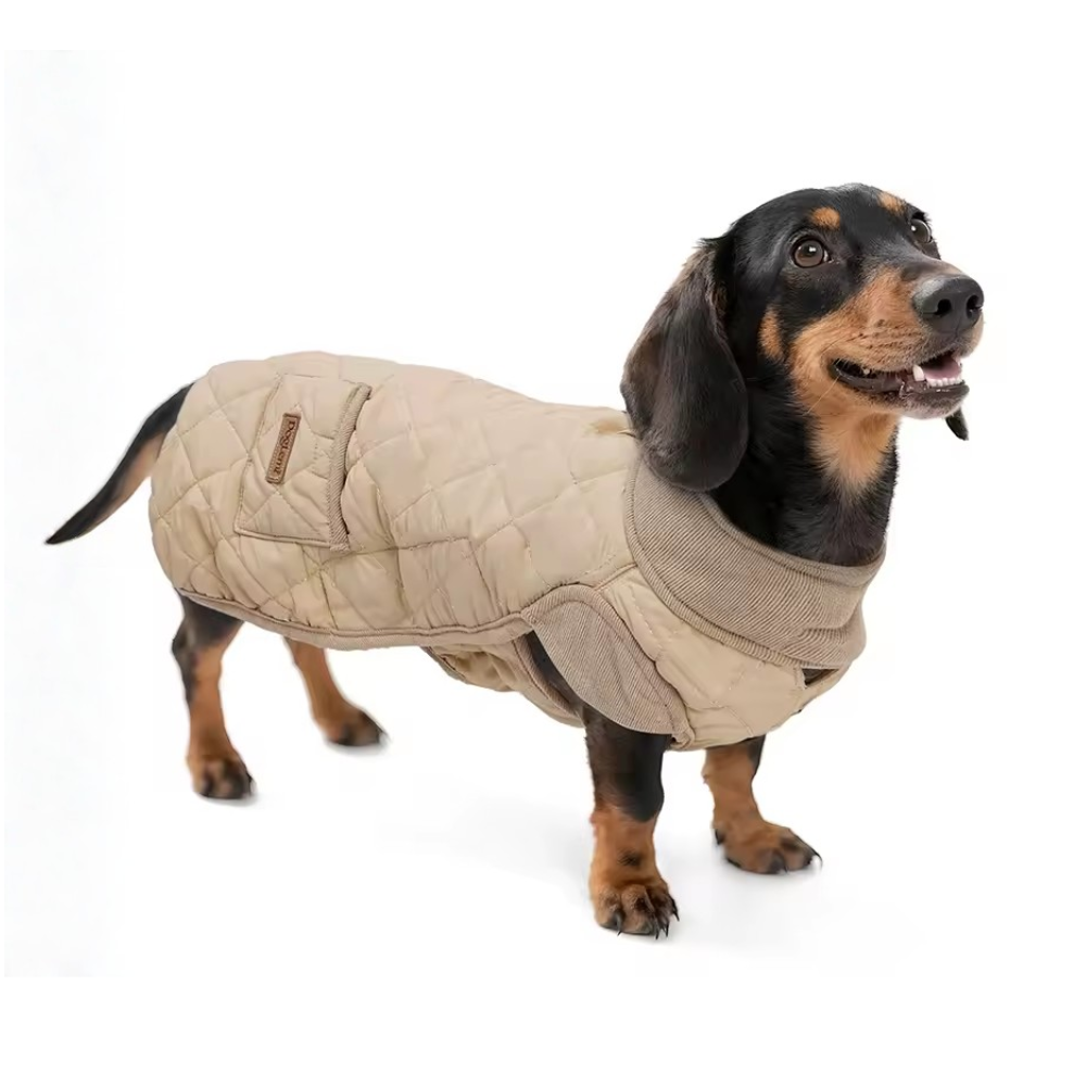 manteau impermeable teckel beige manteau impermeable teckel beige