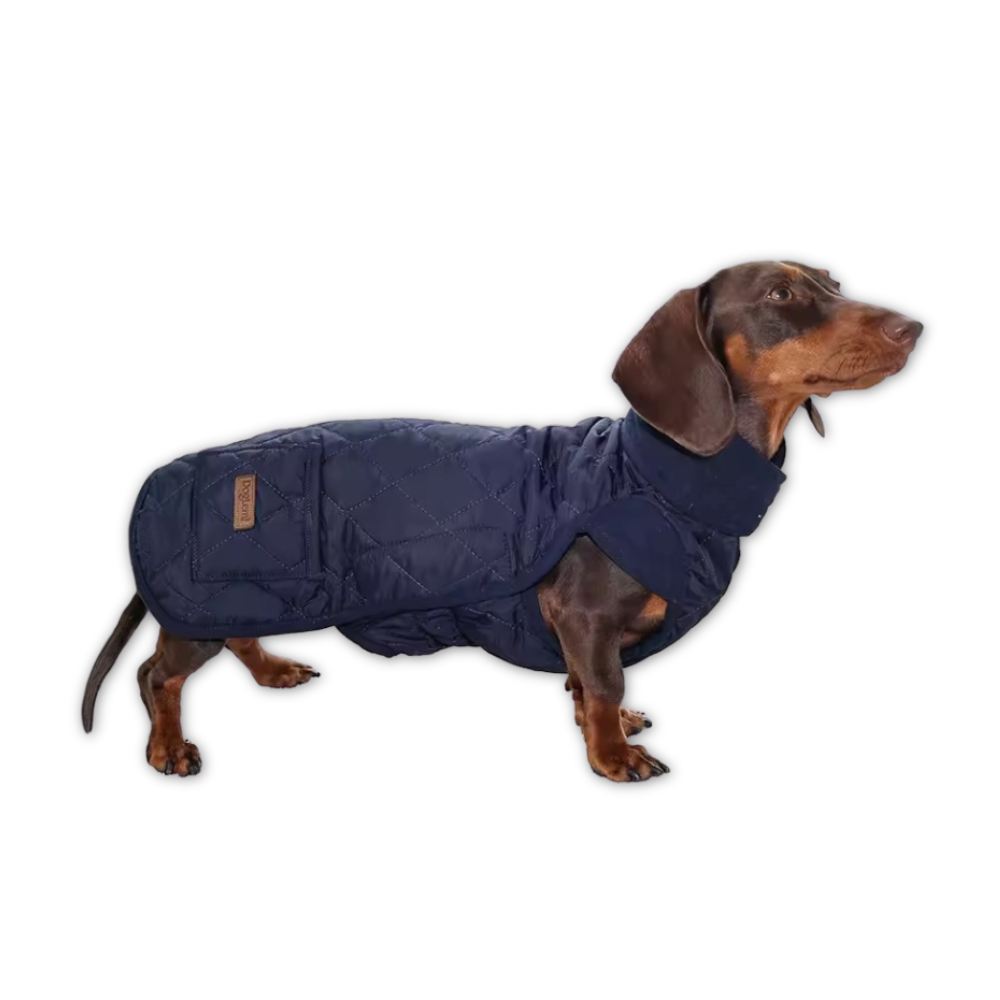 manteau impermeable teckel bleu manteau impermeable teckel bleu