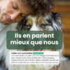 avis client collier cuir confortable chien avis client collier cuir confortable chien