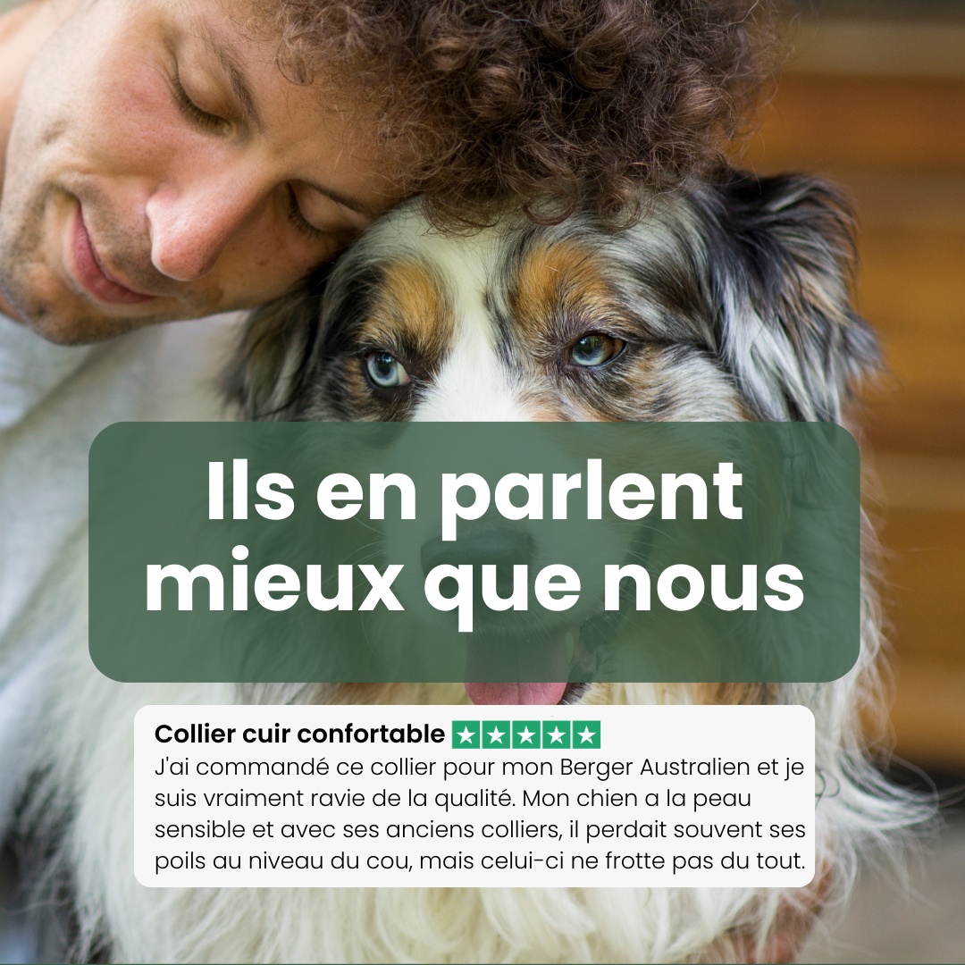 avis client collier cuir confortable chien