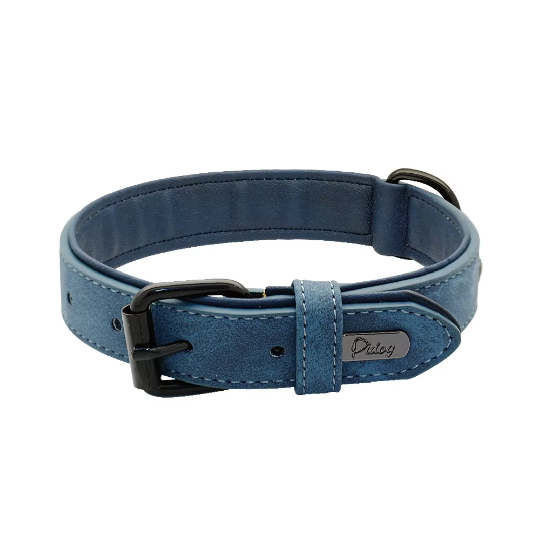 collier cuir confortable chien bleu