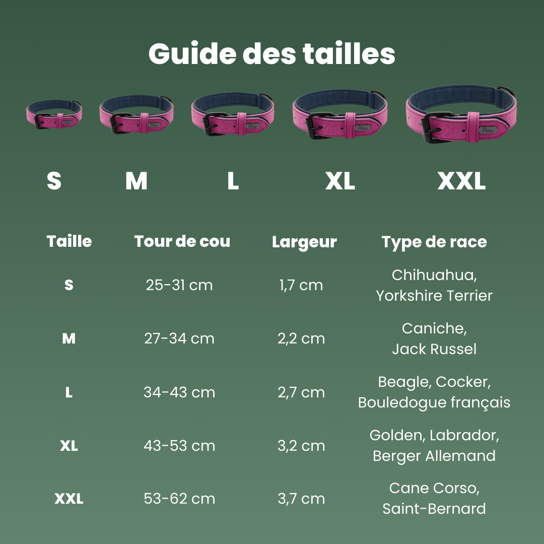 guide tailles collier cuir confortable chien