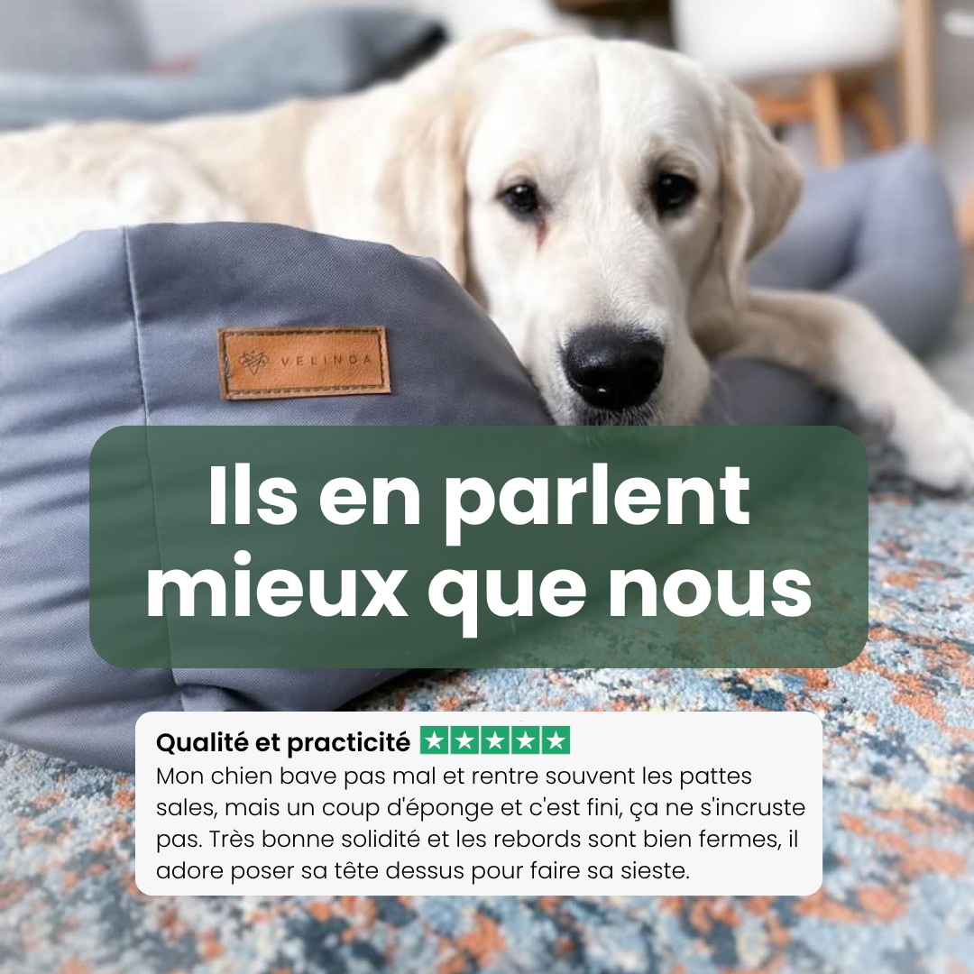 avis panier grand chien XXL x cm imperméable déhoussable