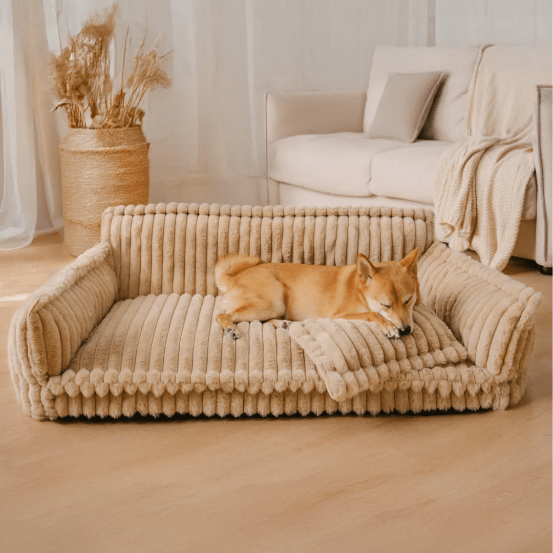 panier orthopedique appuie tete chien beige