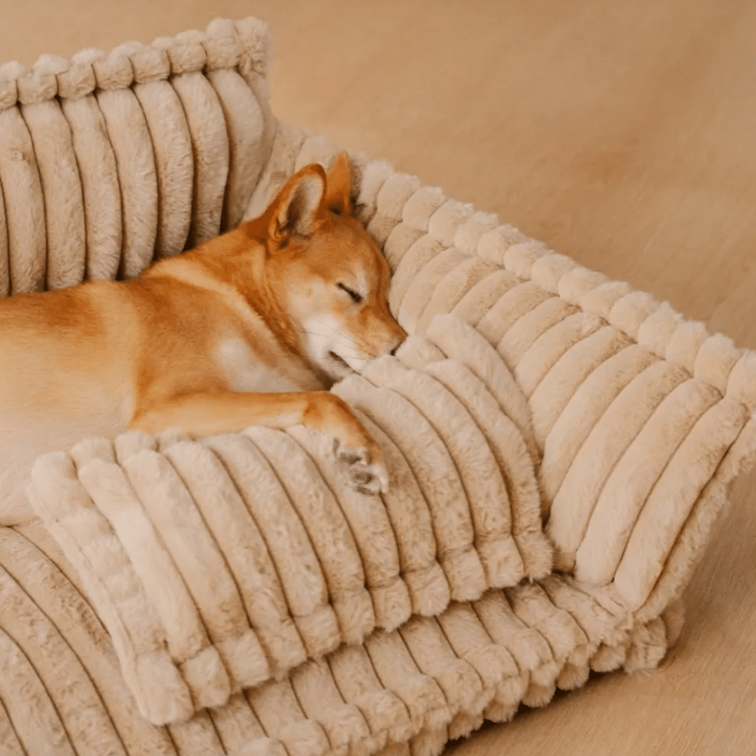 panier orthopedique appuie tete chien beige pres